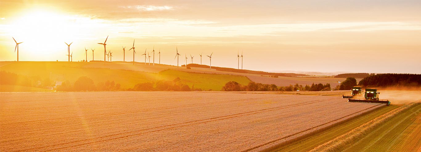 שתי מקצרות עובדות בשדה על רקע חוות טורבינות רוח לייצור חשמל