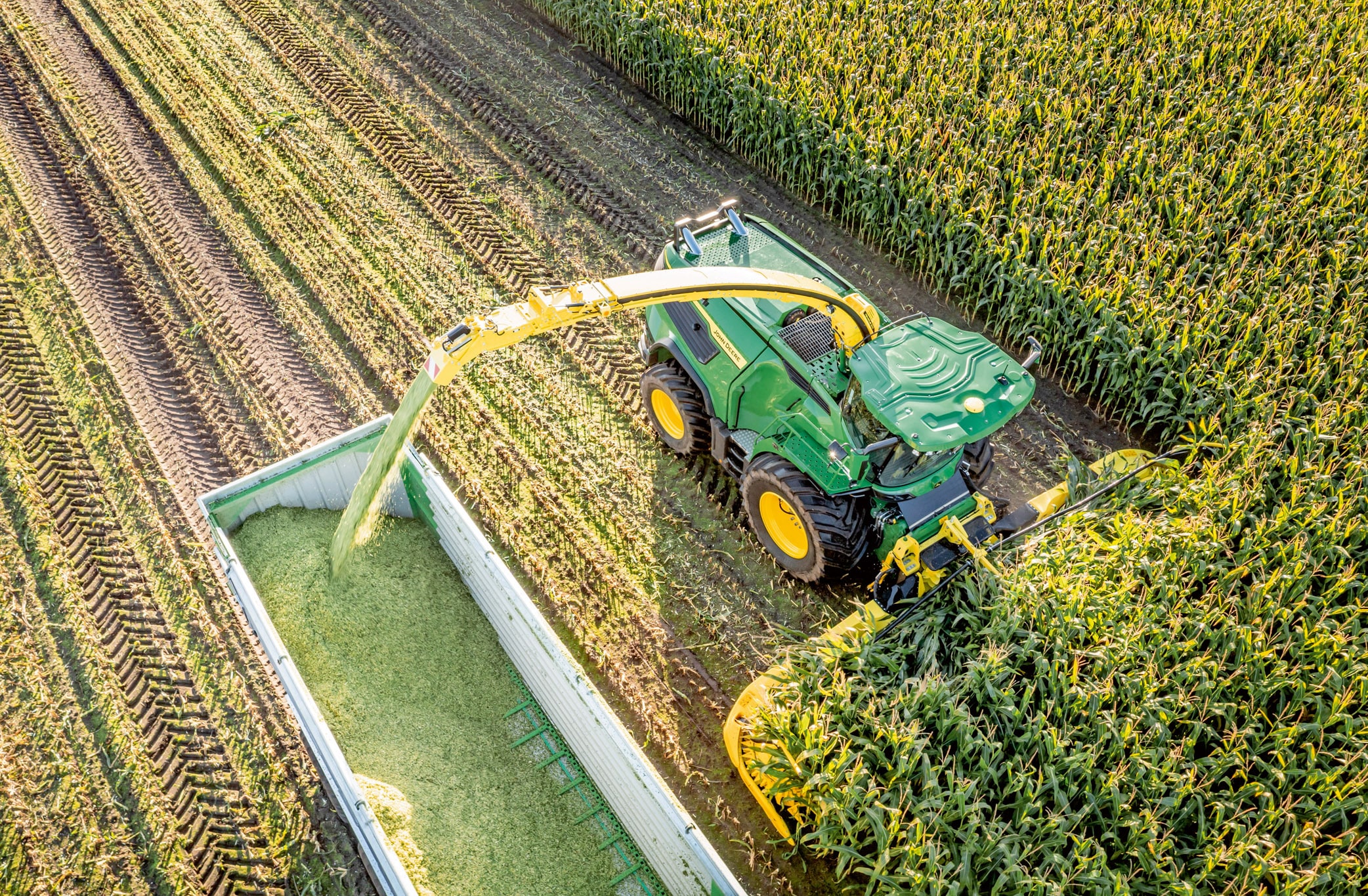 מבט אווירי על מקצרת מספוא ירוקה של John Deere הקוצרת תירס ומעבירה מספוא קצוץ לקרון נגרר בשדה תירס גדול.